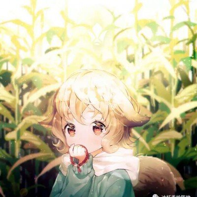 马里国防部长卡马拉遭袭丧生